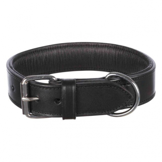 Ошейник "Active", широкий L-XL для собак (чёрный) - 1