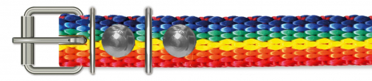 Ошейник нейлон (13мм/35см) - 1