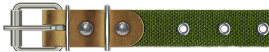 Нашийник(брезент) безрозмірний - 1